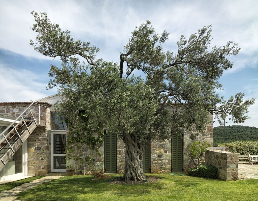 Güler Sabancı Evi Epa Mimarlık